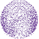 Nova Peptide Supply logo