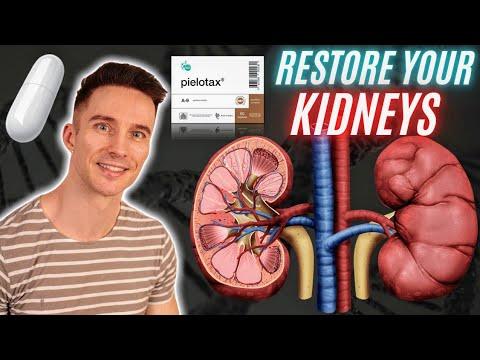 Thumbnail for RESTORE your Kidneys with the Peptide Bioregulator Pielotax