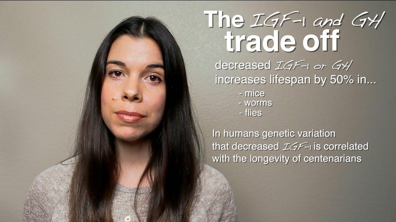 Thumbnail for The IGF-1 Trade-Off: Performance vs. Longevity