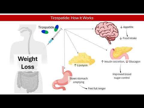 Thumbnail for Tirzepatide: How Does It Work for Weight Loss? │ Pharmacology