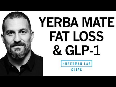 Thumbnail for What is GLP-1 &amp; How Does It Reduce Appetite &amp; Promote Weight Loss? | Dr. Andrew Huberman