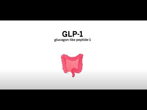 Thumbnail for Role of GLP-1 Receptor Agonists for Weight Loss
