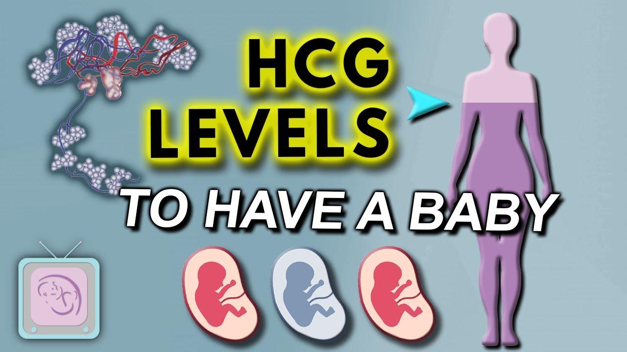 Thumbnail for hCG levels in early pregnancy -  Does hCG have to double in 2 days?