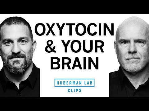 Thumbnail for How Oxytocin Affects Attraction, Love &amp; Social Behavior | Dr. Michael Platt &amp; Dr. Andrew Huberman