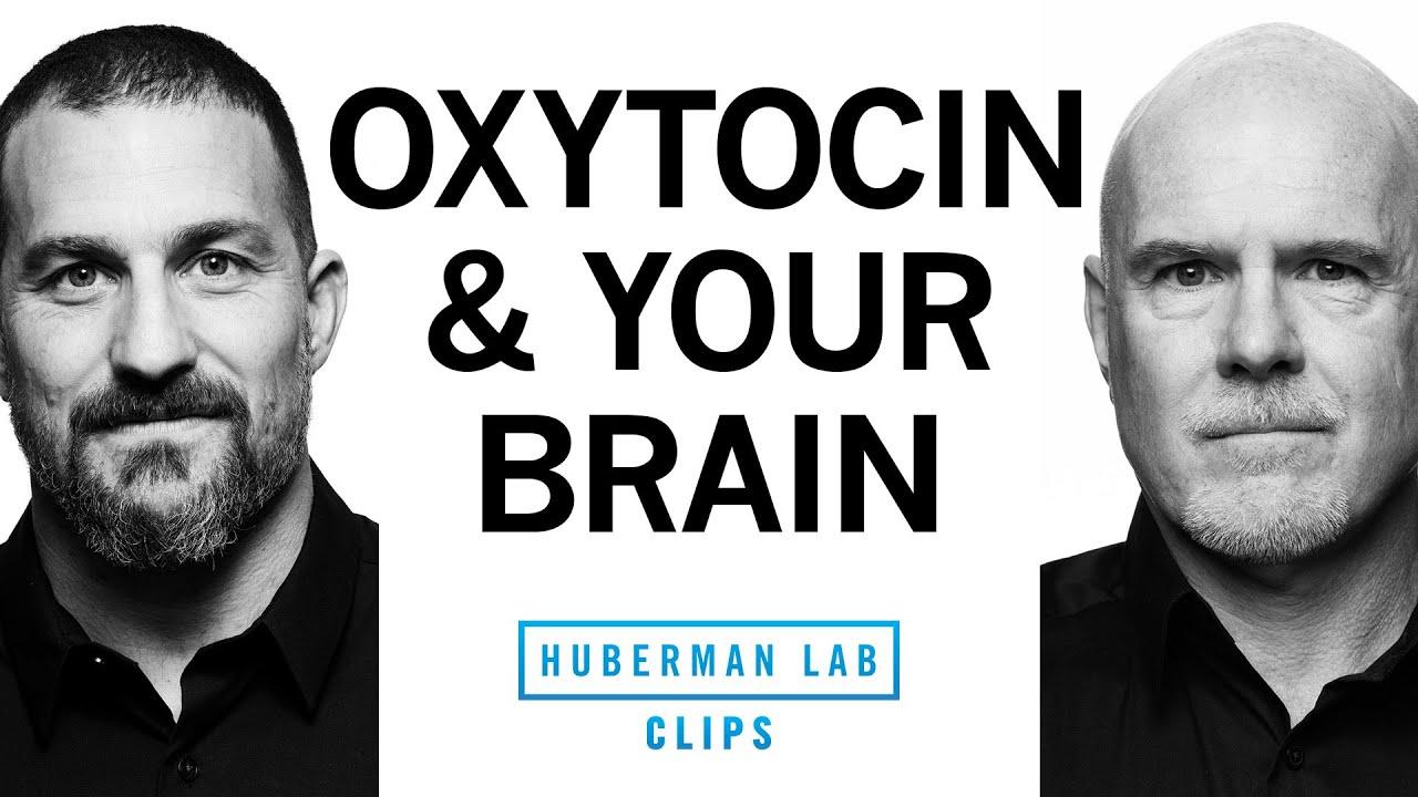 Thumbnail for How Oxytocin Affects Attraction, Love &amp; Social Behavior | Dr. Michael Platt &amp; Dr. Andrew Huberman
