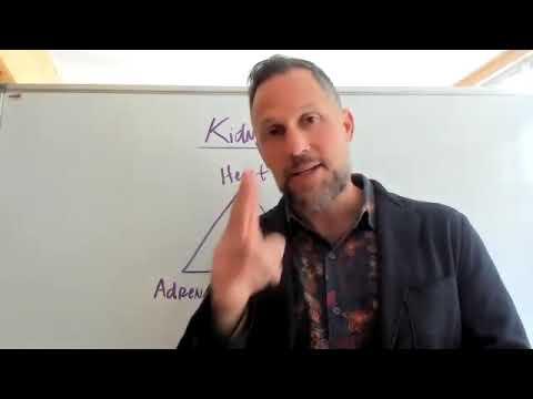 Thumbnail for Peptides for Kidney &amp; Liver Health