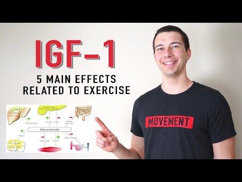 Thumbnail for 5 Functions of IGF-1 | What does IGF 1 Do?