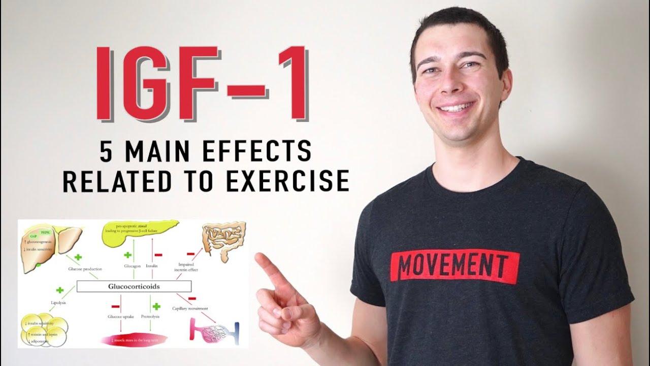 Thumbnail for 5 Functions of IGF-1 | What does IGF 1 Do?
