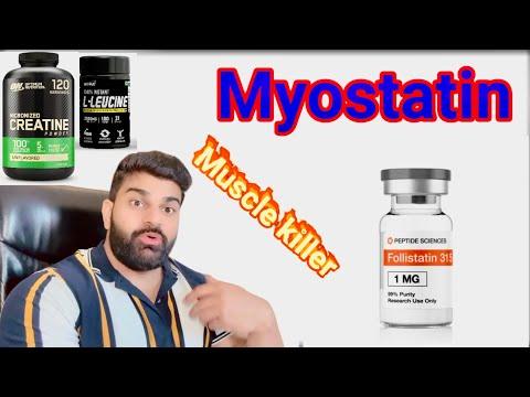 Thumbnail for How to Reduce Myostatin and Build Bigger Muscles Faster full explained by kaif fitness