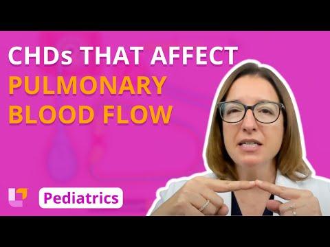 Thumbnail for Congenital Heart Defects - Pediatric Nursing - Cardiovascular Disorders | @LevelUpRN