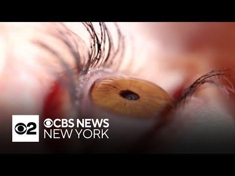Thumbnail for Potential new eye drug shows promise in restoring vision