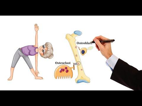 Thumbnail for Pharmacology - DRUGS FOR OSTEOPOROSIS (MADE EASY)