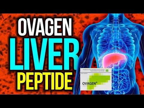 Thumbnail for My Favorite Bioregulator Peptide for Liver Support - Ovagen