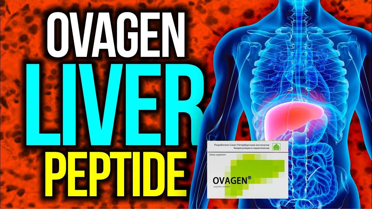 Thumbnail for My Favorite Bioregulator Peptide for Liver Support - Ovagen